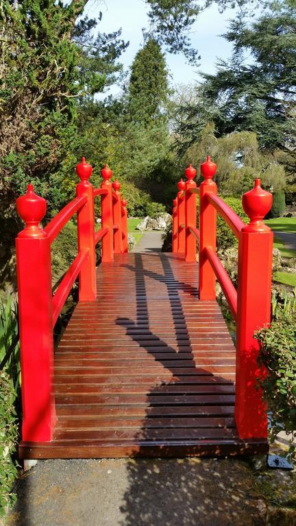 No.5 Bed & Breakfast Kilcullen Экстерьер фото